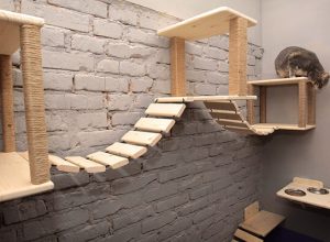 planetahamham cats world pet hotel